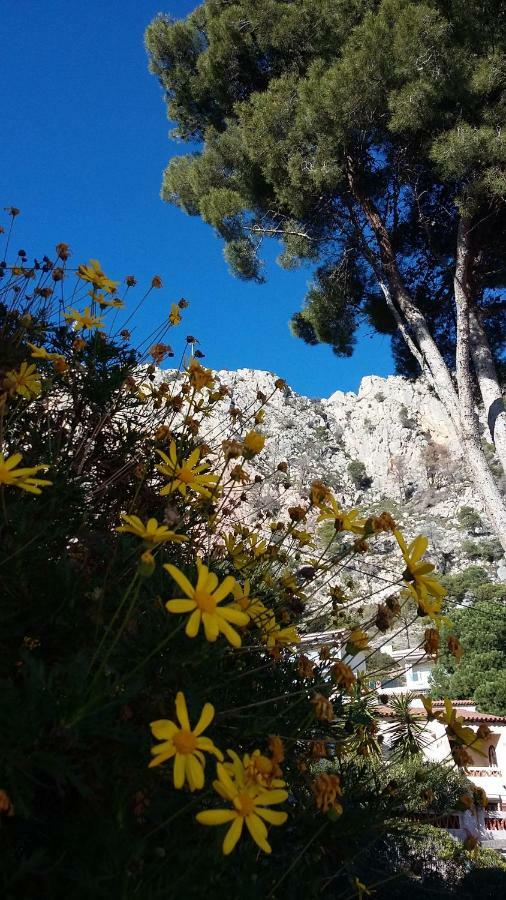 Mediterrania 98 Torroella de Montgrí Εξωτερικό φωτογραφία