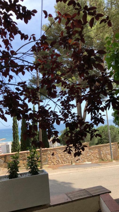 Mediterrania 98 Torroella de Montgrí Εξωτερικό φωτογραφία